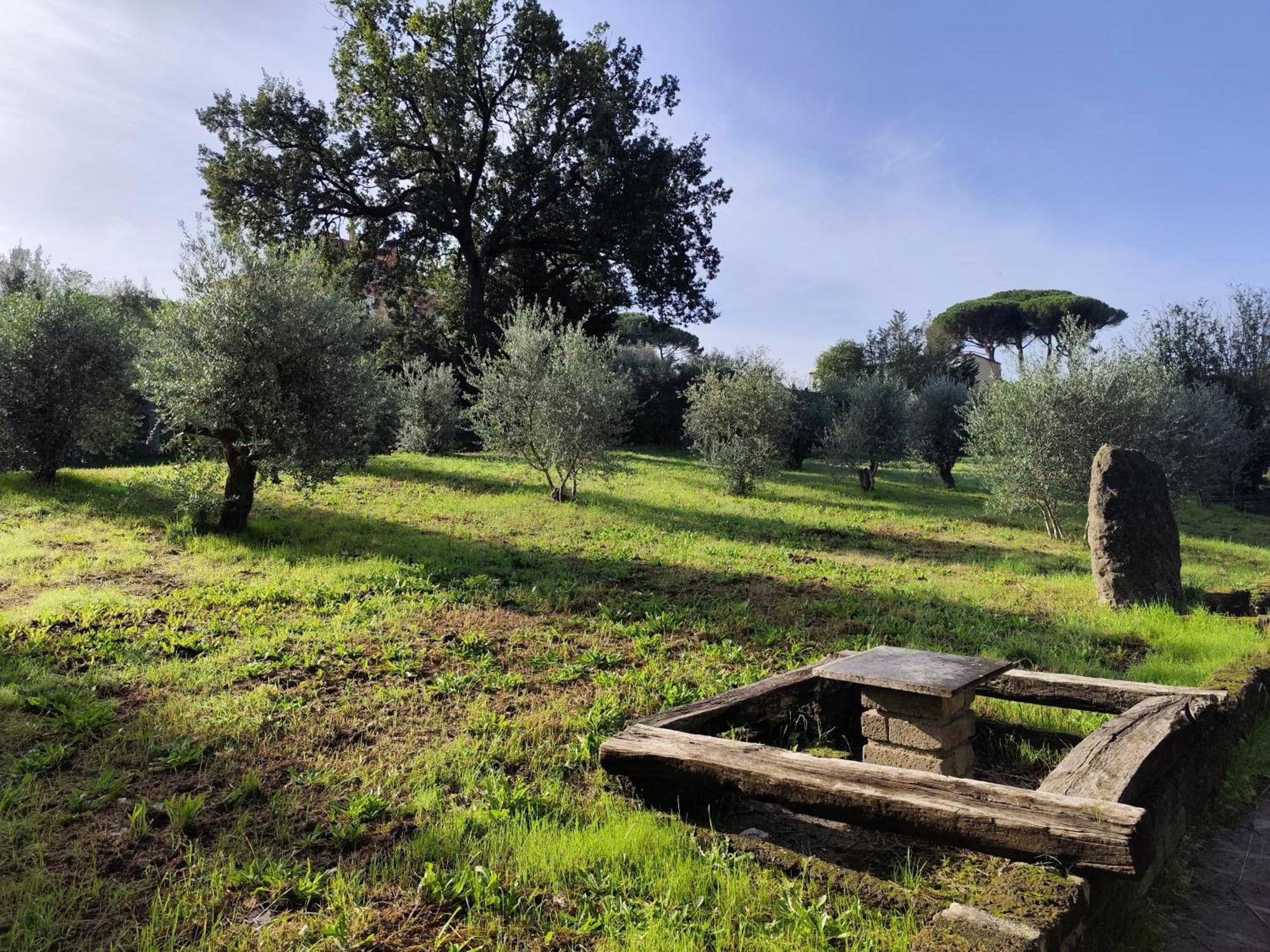 Green Hotel Poggio Regillo Frascati Zewnętrze zdjęcie